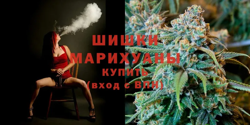 где купить наркоту  Полярные Зори  Конопля White Widow 